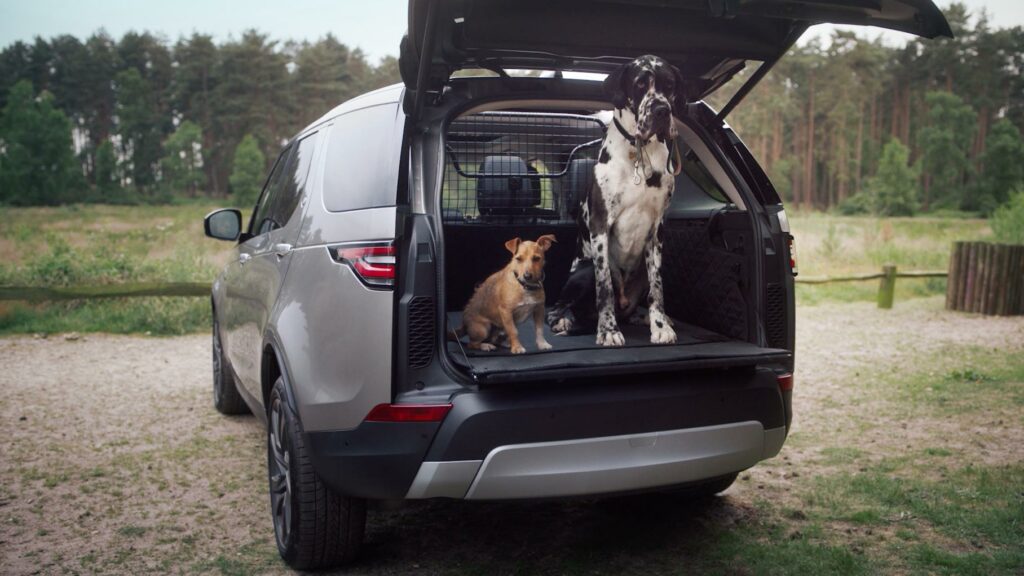 Внедорожники Land Rover начали оснащать душем для собак‍