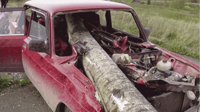 В результате ДТП в Пермском крае легковушку проткнуло насквозь деревом 