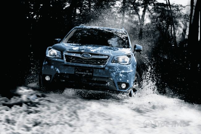 Subaru в России озвучила цены на спецверсии Forester Active Edition