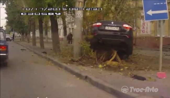 В Липецке автомобиль "Рено" оказался застрявшим на дереве