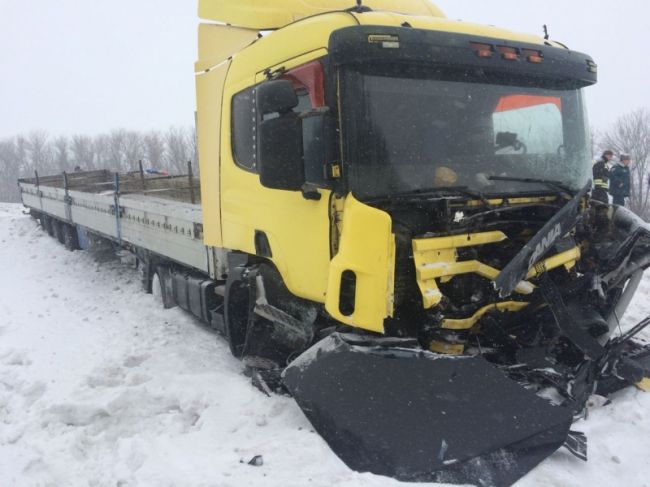 В утреннем ДТП с фурой на трассе в Воронежской области погибла автоледи и её пассажирка 