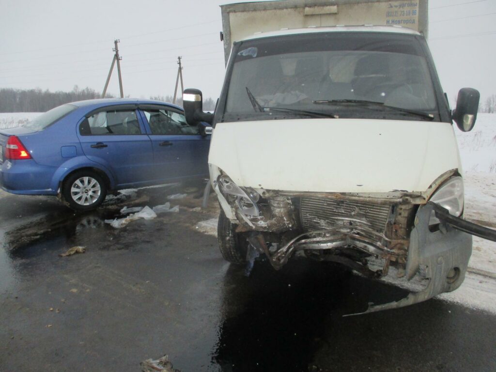 Мужчина и девочка-подросток пострадали в жутком ДТП в Ефремовском районе