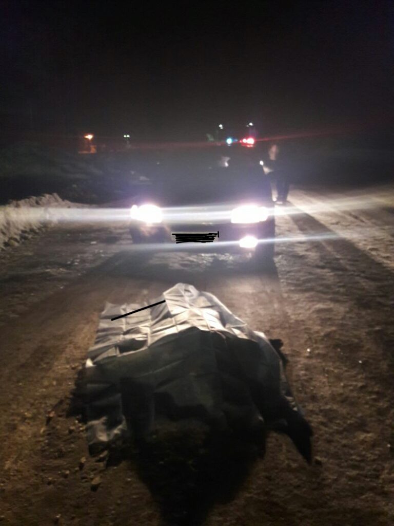В Башкирии иномарка «Audi» раздавила женщину‍-нарушительницу