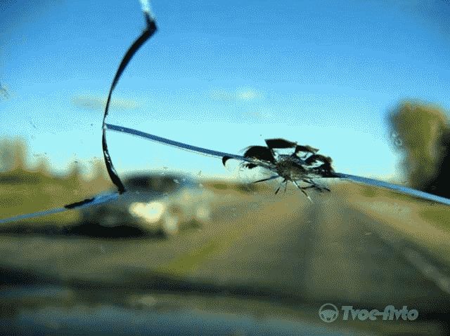 Как быть, если в автомобиле треснуло лобовое стекло?