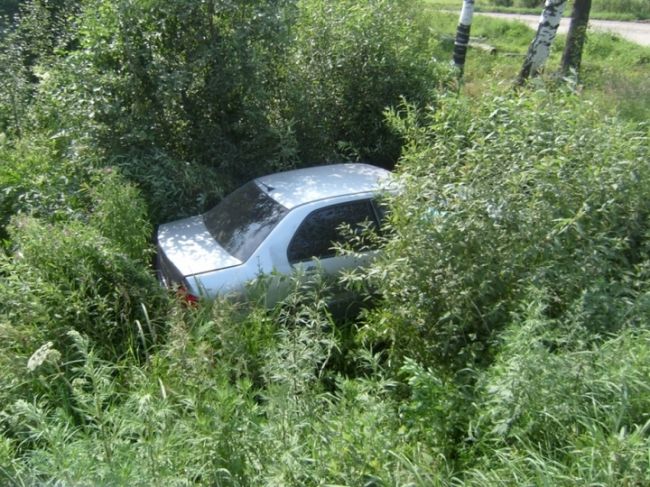 Ярославская область: иномарка после ДТП вылетела в кусты
